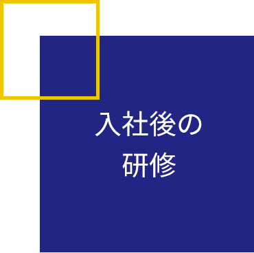 入社後の研修